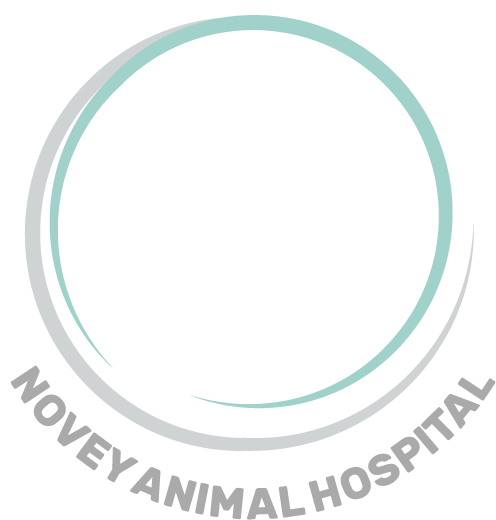 Novey Animal Hospital