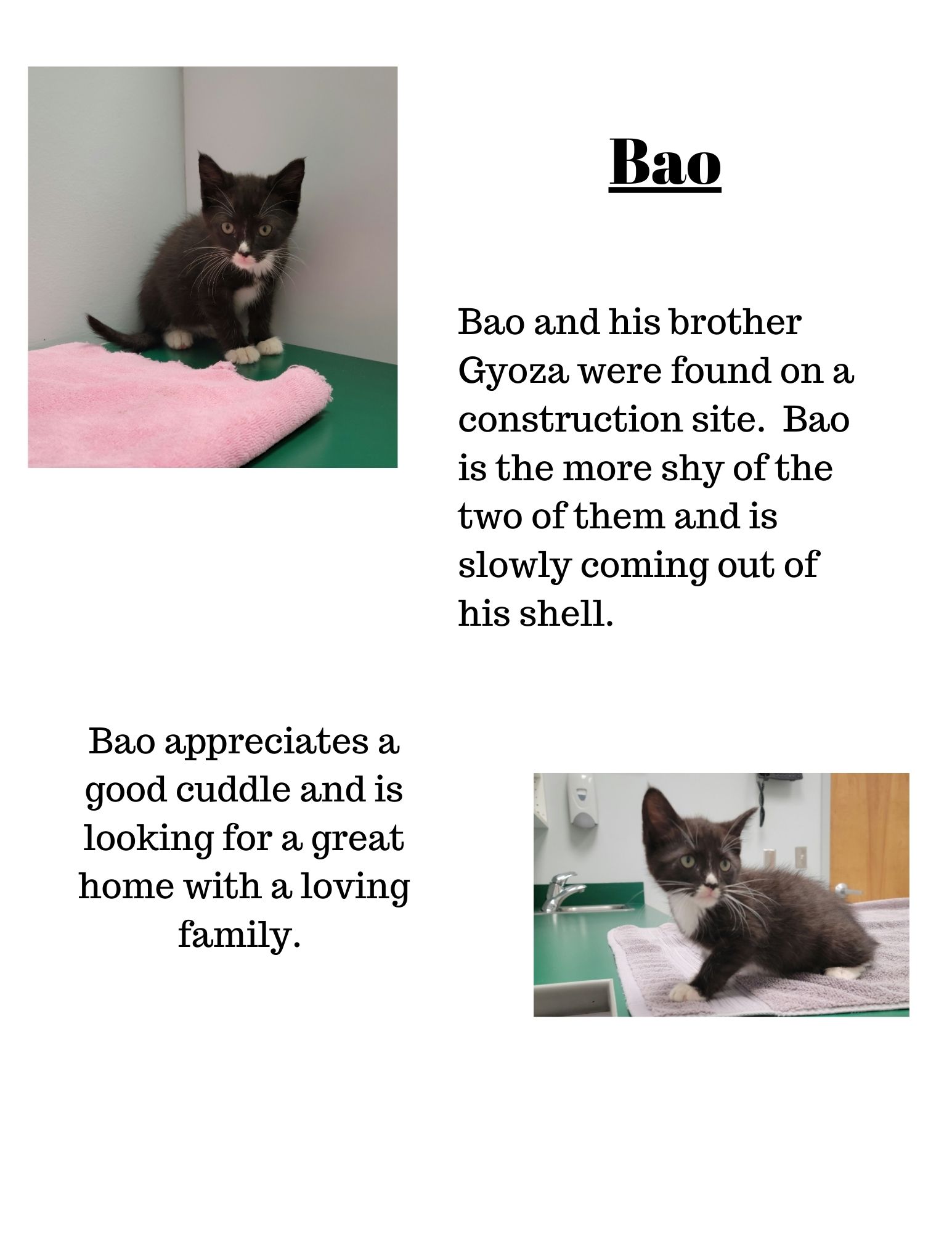 Bao