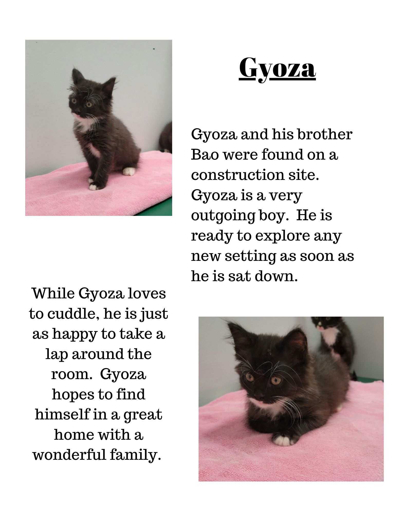 Gyoza