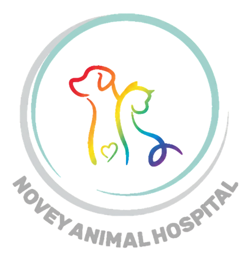 Novey Animal Hospital